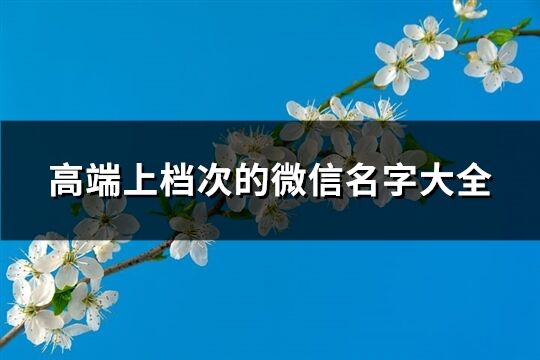 高端上檔次的微信名字大全(精選1175個)
