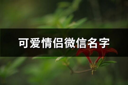 可愛情侶微信名字(優(yōu)選201個(gè))