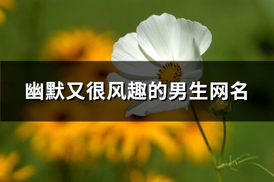 幽默又很風趣的男生網名(精選264個)