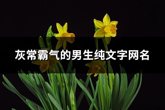 灰常霸氣的男生純文字網名(共311個)