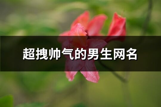 超拽帥氣的男生網(wǎng)名(優(yōu)選438個(gè))