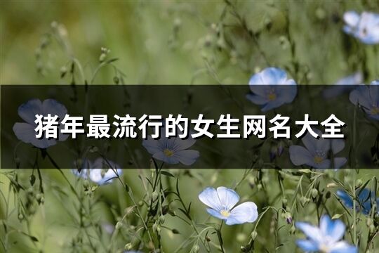 豬年最流行的女生網(wǎng)名大全(精選209個)