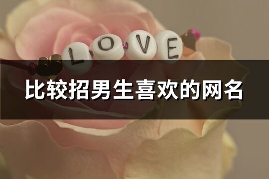 比較招男生喜歡的網(wǎng)名(共408個(gè))