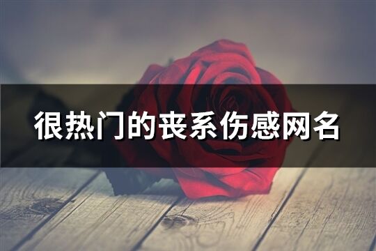 很熱門的喪系傷感網(wǎng)名(精選520個(gè))