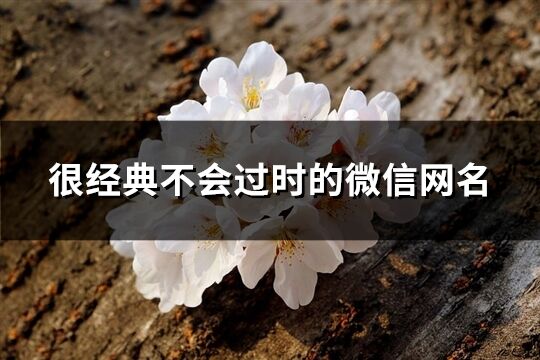 很經典不會過時的微信網名(1349個)