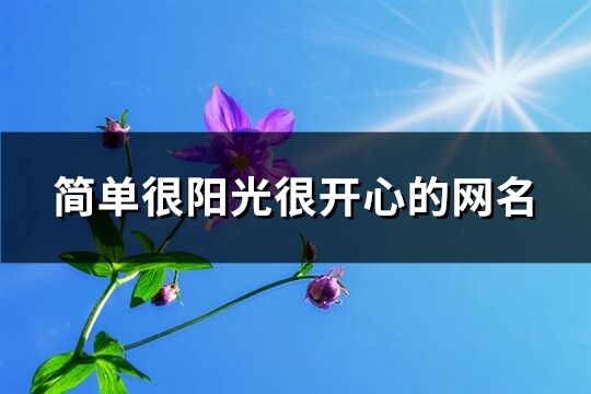 簡單很陽光很開心的網名(精選593個)