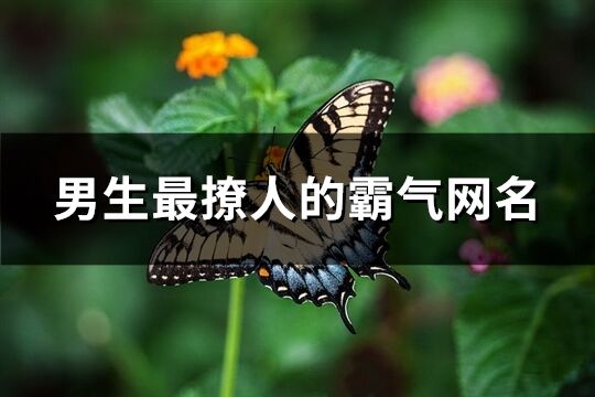 男生最撩人的霸氣網名(共486個)