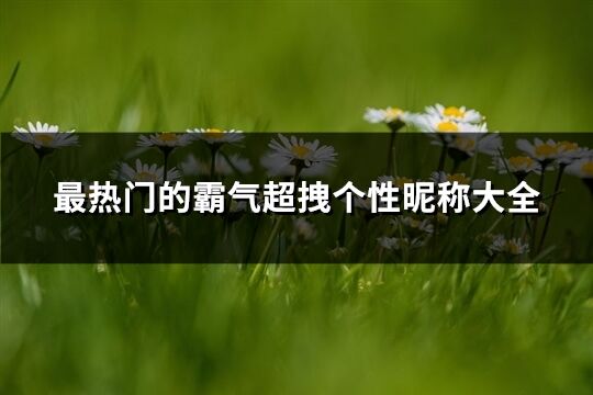 最熱門的霸氣超拽個性昵稱大全(優選433個)