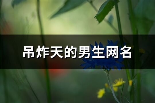 吊炸天的男生網名(精選389個)