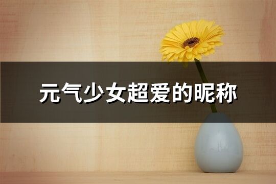 元氣少女超愛的昵稱(優(yōu)選526個)