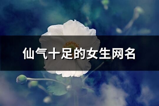 仙氣十足的女生網名(精選669個)