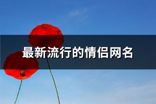 最新流行的情侶網名(284個)