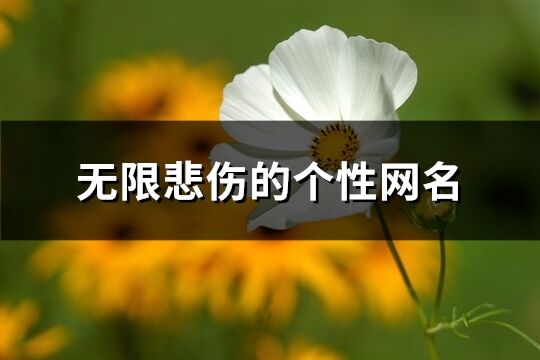 無限悲傷的個性網名(優選871個)