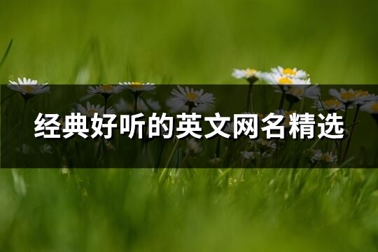 經典好聽的英文網名精選(優選407個)