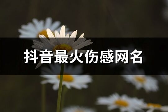 抖音最火傷感網(wǎng)名(共544個)