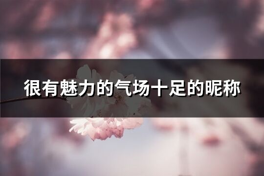 很有魅力的氣場(chǎng)十足的昵稱(364個(gè))