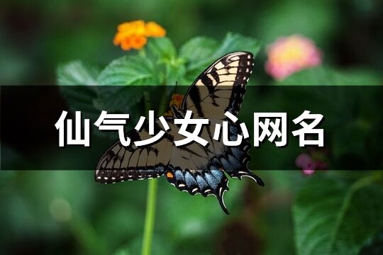 仙氣少女心網名(共869個)