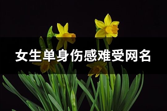 女生單身傷感難受網名(精選315個)
