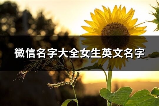 微信名字大全女生英文名字(優選156個)