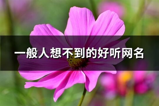 一般人想不到的好聽網(wǎng)名(精選234個(gè))
