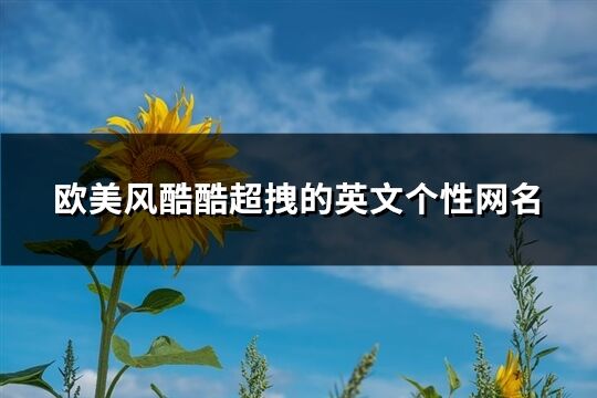 歐美風酷酷超拽的英文個性網名(共159個)