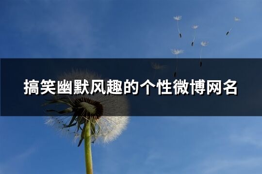 搞笑幽默風趣的個性微博網名(326個)
