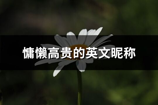 慵懶高貴的英文昵稱(精選86個)