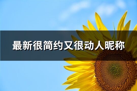 最新很簡約又很動人昵稱(737個)