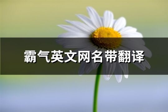 霸氣英文網名帶翻譯(共140個)