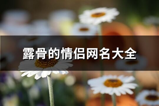 露骨的情侶網名大全(61個)