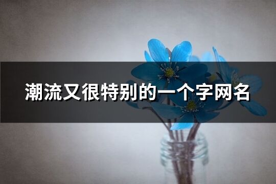 潮流又很特別的一個(gè)字網(wǎng)名(優(yōu)選438個(gè))