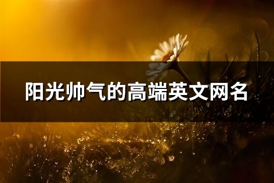 陽光帥氣的高端英文網(wǎng)名(優(yōu)選162個(gè))