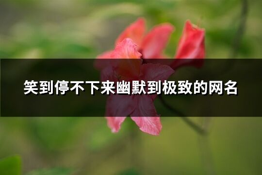 笑到停不下來幽默到極致的網名(共457個)