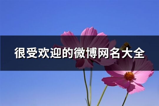 很受歡迎的微博網名大全(精選649個)