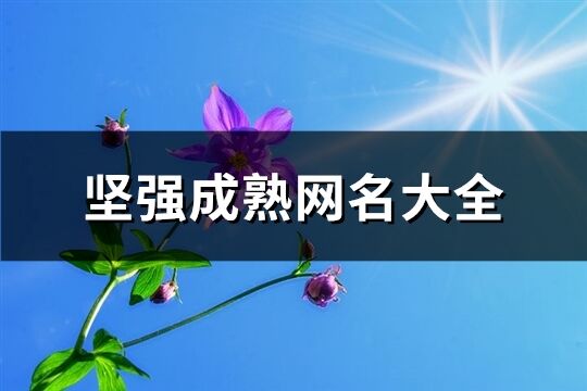 堅(jiān)強(qiáng)成熟網(wǎng)名大全(精選180個(gè))