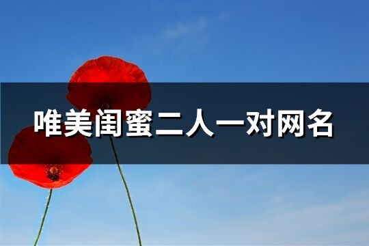 唯美閨蜜二人一對網名(優選102個)
