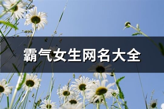 霸氣女生網(wǎng)名大全(共503個(gè))