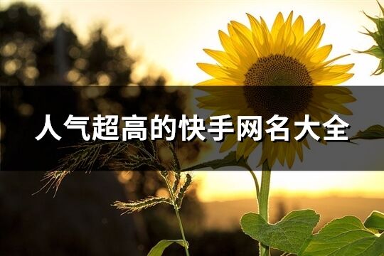 人氣超高的快手網名大全(精選2011個)