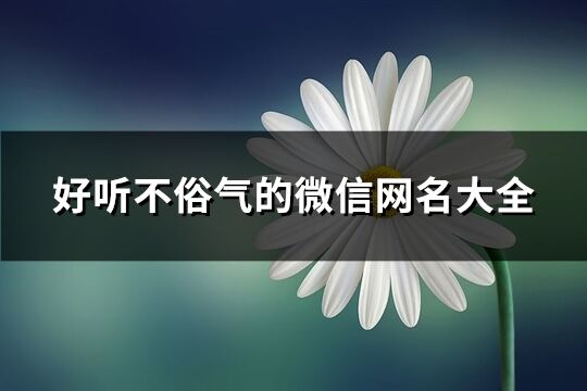 好聽不俗氣的微信網(wǎng)名大全(精選889個)
