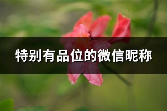 特別有品位的微信昵稱(精選595個)