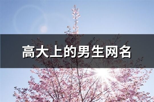 高大上的男生網名(共187個)