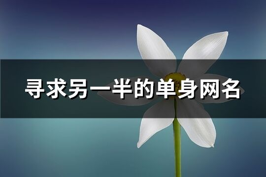 尋求另一半的單身網(wǎng)名(優(yōu)選116個)