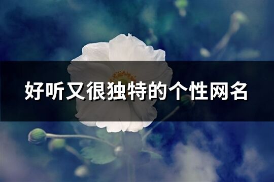 好聽又很獨特的個性網名(優選197個)