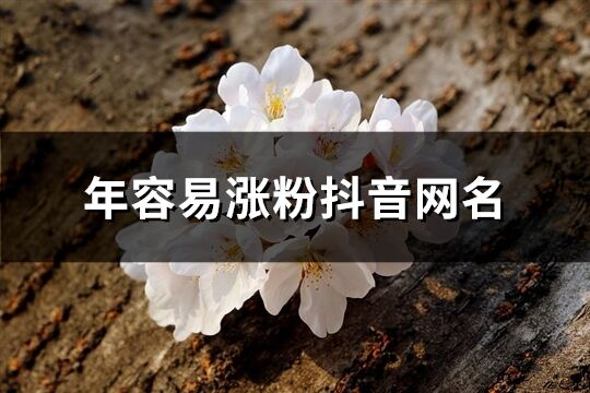 年容易漲粉抖音網名(優選933個)