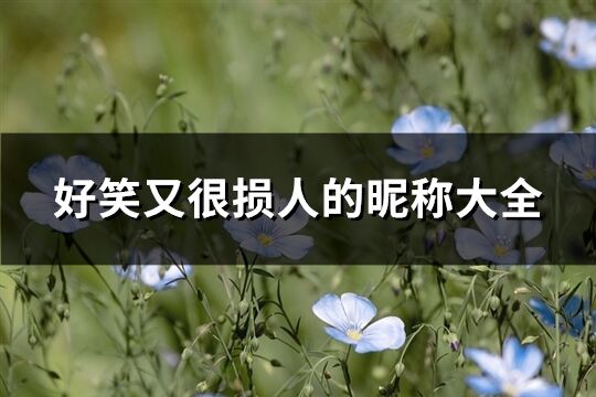 好笑又很損人的昵稱大全(186個)