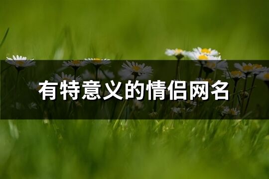 有特意義的情侶網名(221個)