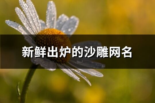 新鮮出爐的沙雕網名(優選282個)
