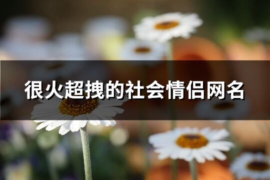 很火超拽的社會情侶網名(共115個)