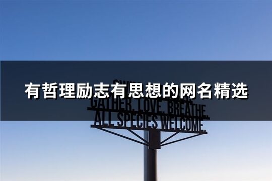 有哲理勵志有思想的網名精選(精選524個)