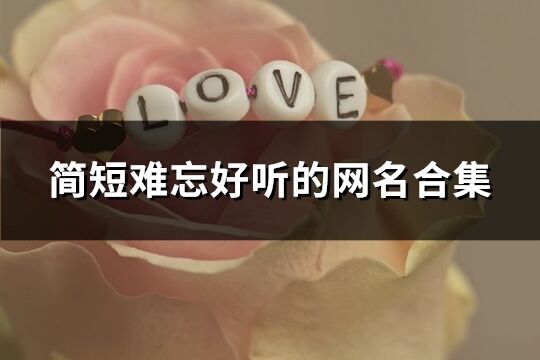 簡短難忘好聽的網(wǎng)名合集(精選1012個(gè))